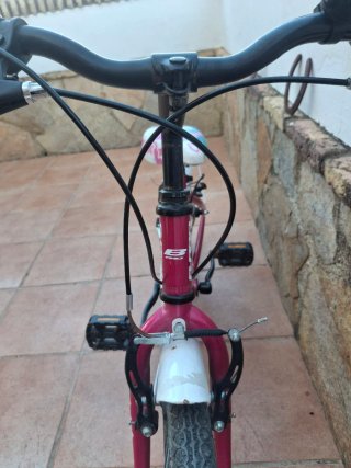 Bicicleta infantile rosa 20