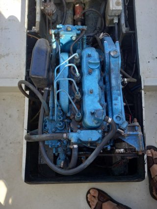 Embarcación 5,25 mts