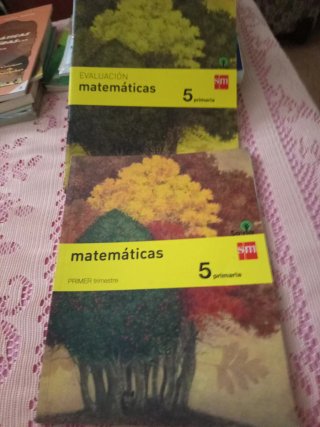 Matemáticas 5 primaria sm savia
