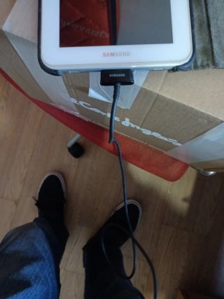 Samsung GT P3110