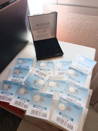 Colección Arras del Pilar Plata