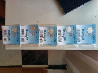 Colección Arras del Pilar Plata