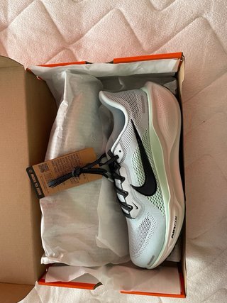 Nike Pegasus 41 Talla 43