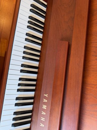 Piano Acústico Vertical Yamaha B1SNC