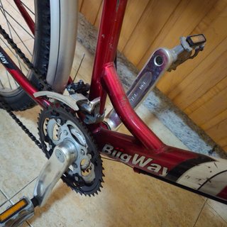Bicicleta seniora para compras