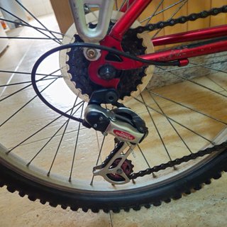 Bicicleta seniora para compras