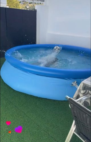 Piscina Hinchable Intex Redonda Poco Uso