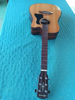 Guitarra Electroacústica Alvarez ADE90CEAR