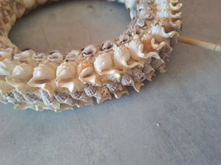 Ghirlanda timone conchiglie mare 27 cm diametro