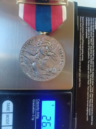 Medalla Troupes de Marine Francesa