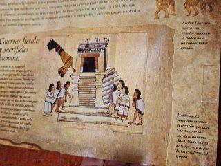 Guerreros (Despliega la historia)