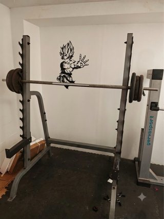 Rack de entrenamiento Jaula
