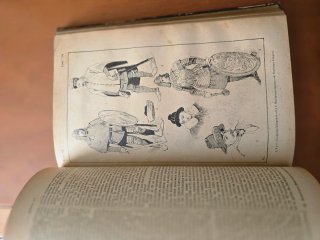 Historia Universal de César Cantú. Tomos VI,VII,IX