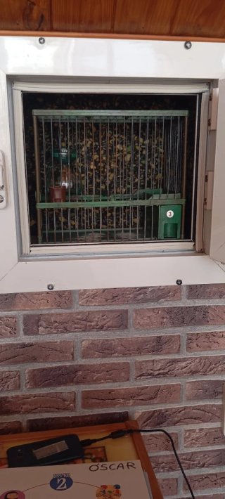 2 Cajones Educadores