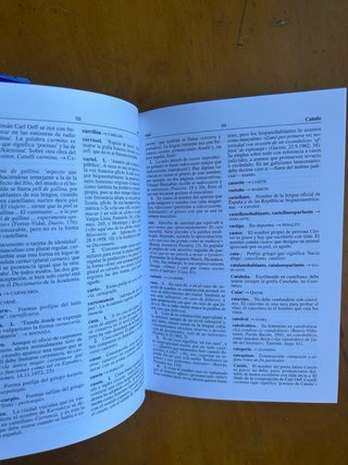 Diccionario M.SECO dudas y dificultades lengua esp