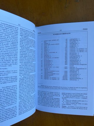 Diccionario M.SECO dudas y dificultades lengua esp