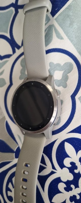 Reloj Garmin Vivoactive 4S Gris/Plata