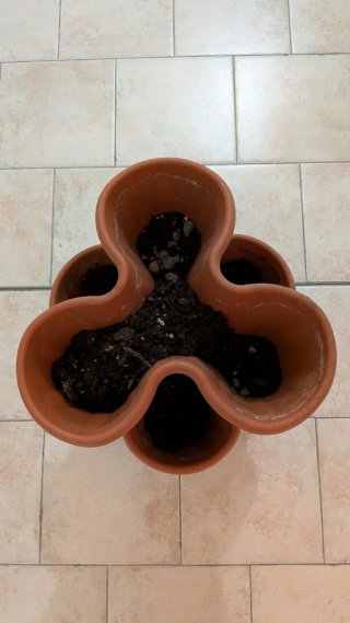 Set vasi impilabili marroni
