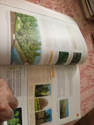 Ciencias de la naturaleza 5 primaria