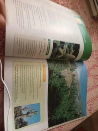 Ciencias de la naturaleza 5 primaria