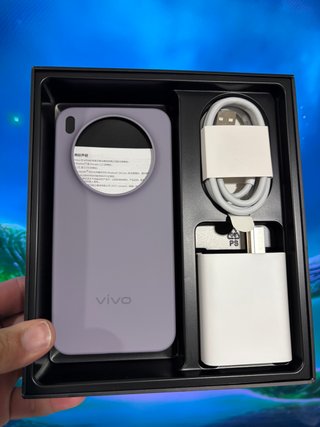Vivo X300 da 12/256 GB - batteria da 6040 mAh
