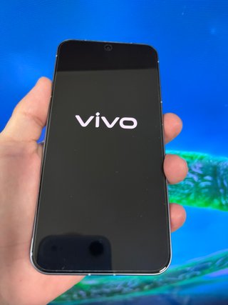 Vivo X300 da 12/256 GB - batteria da 6040 mAh