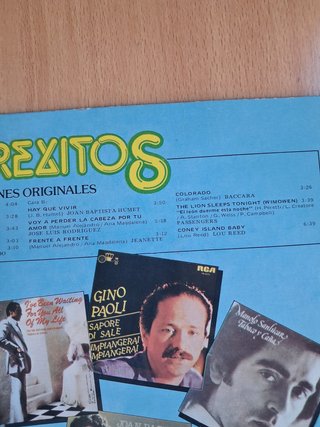 Disco vinilo Superéxitos (1981)