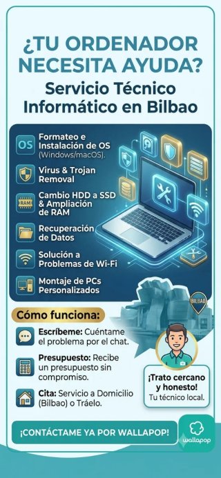 Técnico Informático a Domicilio en Bilbao.