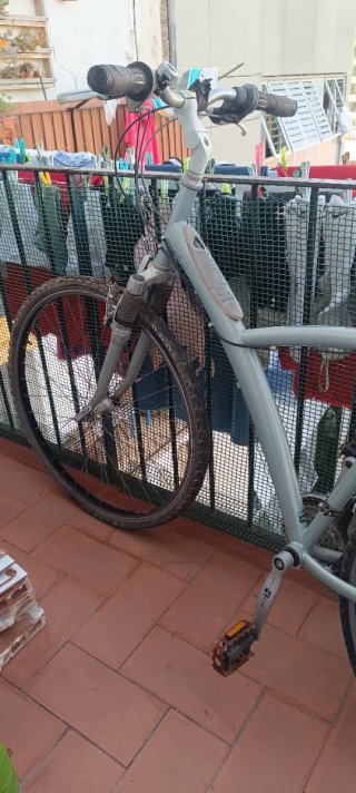 Bicicleta Gris