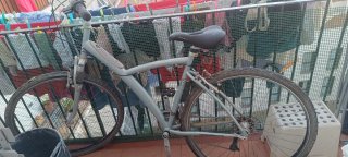 Bicicleta Gris