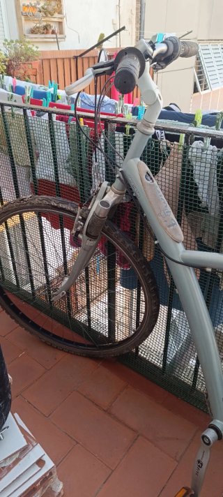 Bicicleta Gris