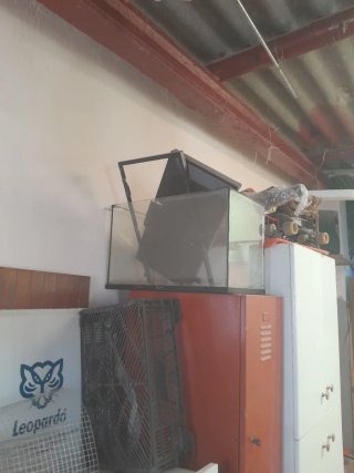 Acuario