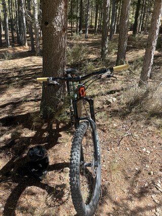 Scott Ransom Talla M Enduro