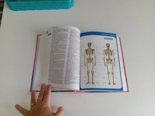 Diccionario Escolar de la Lengua Española