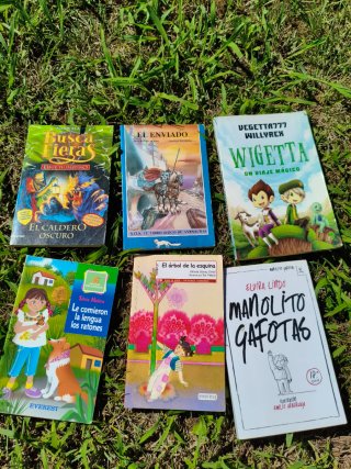 Lote libros