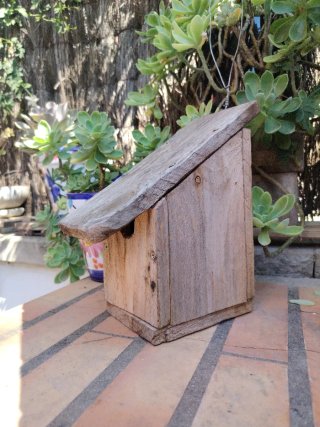 Casette in legno per uccelli