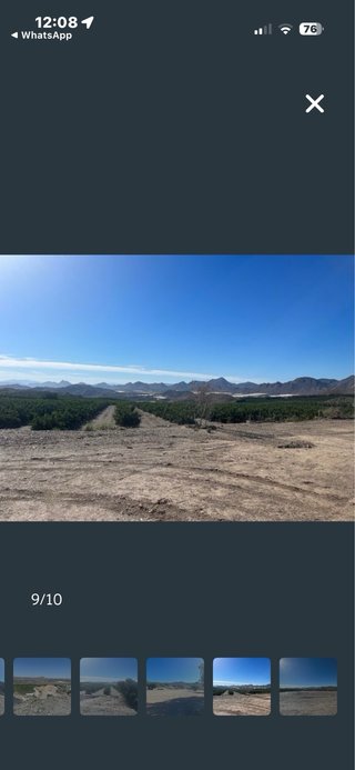 Alquiler de parcelas, terreno en Águilas