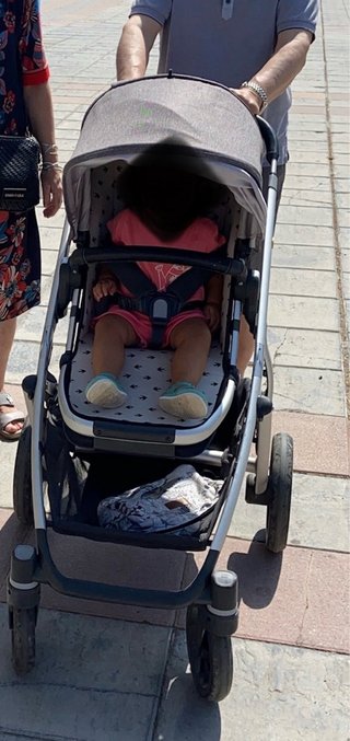 Carrito Bebé UPPAbaby VISTA + Capazo