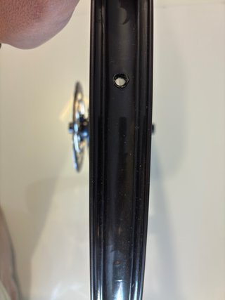 Gurpil Ruota posteriore MTB Alpha 29"