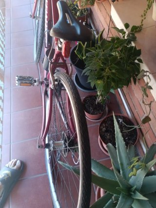 Bicicleta Specialized Roja
