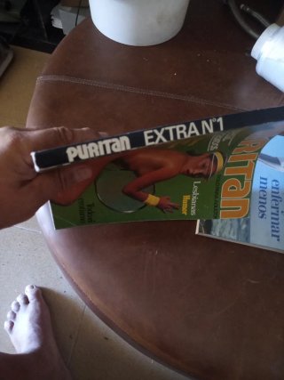 Revista de adultos
