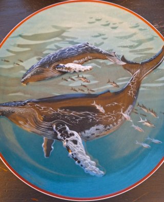 Set 7 Piatti Porcellana Villeroy & Boch Heinrich