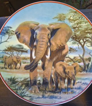Set 7 Piatti Porcellana Villeroy & Boch Heinrich
