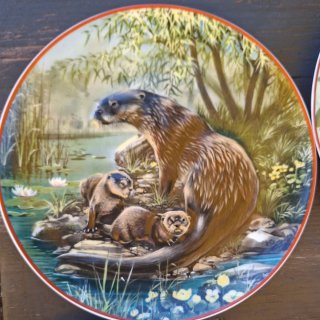 Set 7 Piatti Porcellana Villeroy & Boch Heinrich