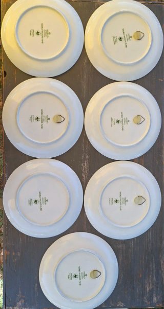 Set 7 Piatti Porcellana Villeroy & Boch Heinrich