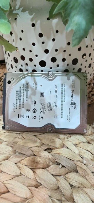 Disco Duro Seagate 250 GB