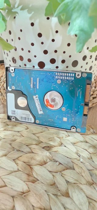 Disco Duro Seagate 250 GB