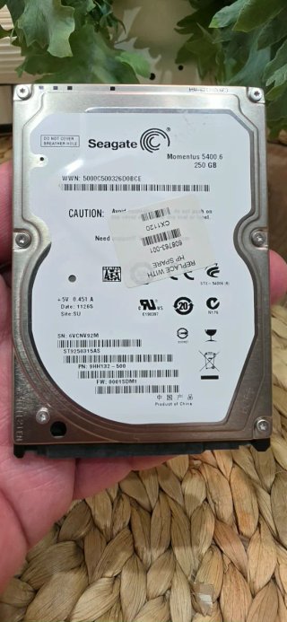 Disco Duro Seagate 250 GB