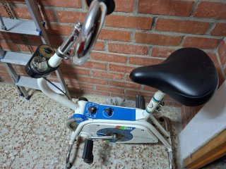 Bici Estática BH Retro