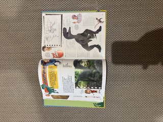 Libro Dani y Evan: La guía total de Dinosaurios